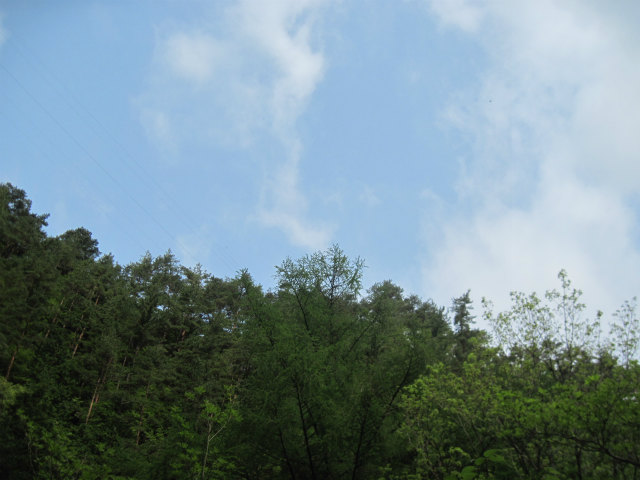 c0219866_9574134.jpg