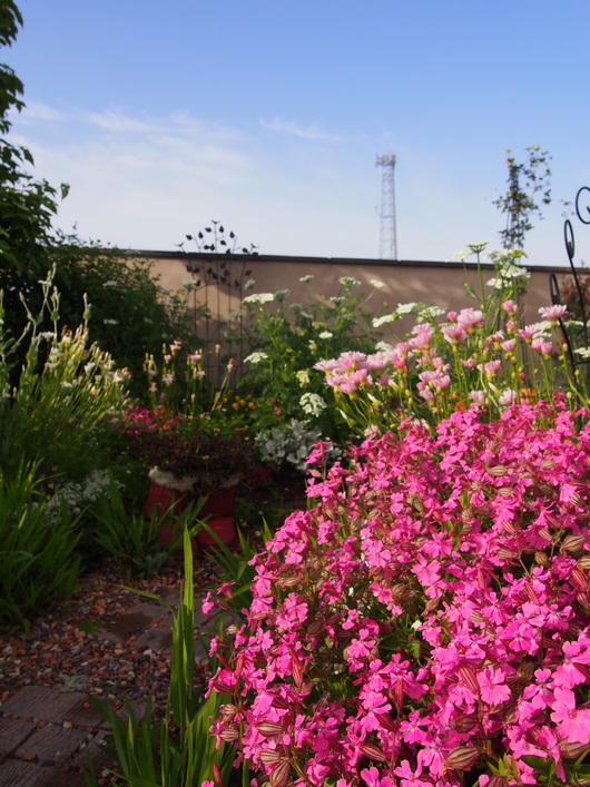 b0194267_2054922.jpg