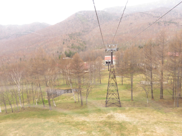 f0233068_23222315.jpg