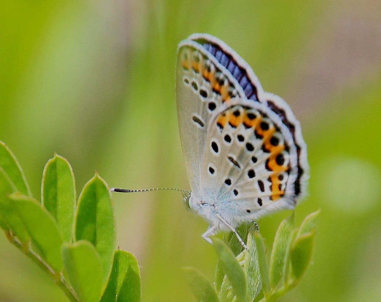 b0320769_17430412.jpg