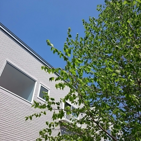 c0311170_17551031.jpg
