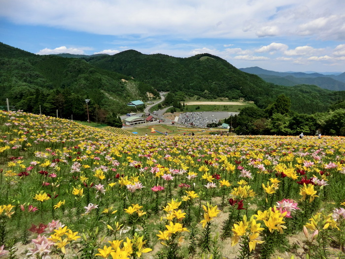 No441 岡山県・駒の尾山、後山は断念ちくさスキー場へ_b0185573_1724952.jpg