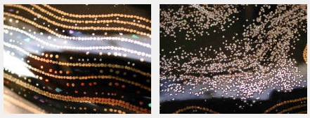 蒔絵合子 『渚の追憶』_e0200879_20191871.jpg