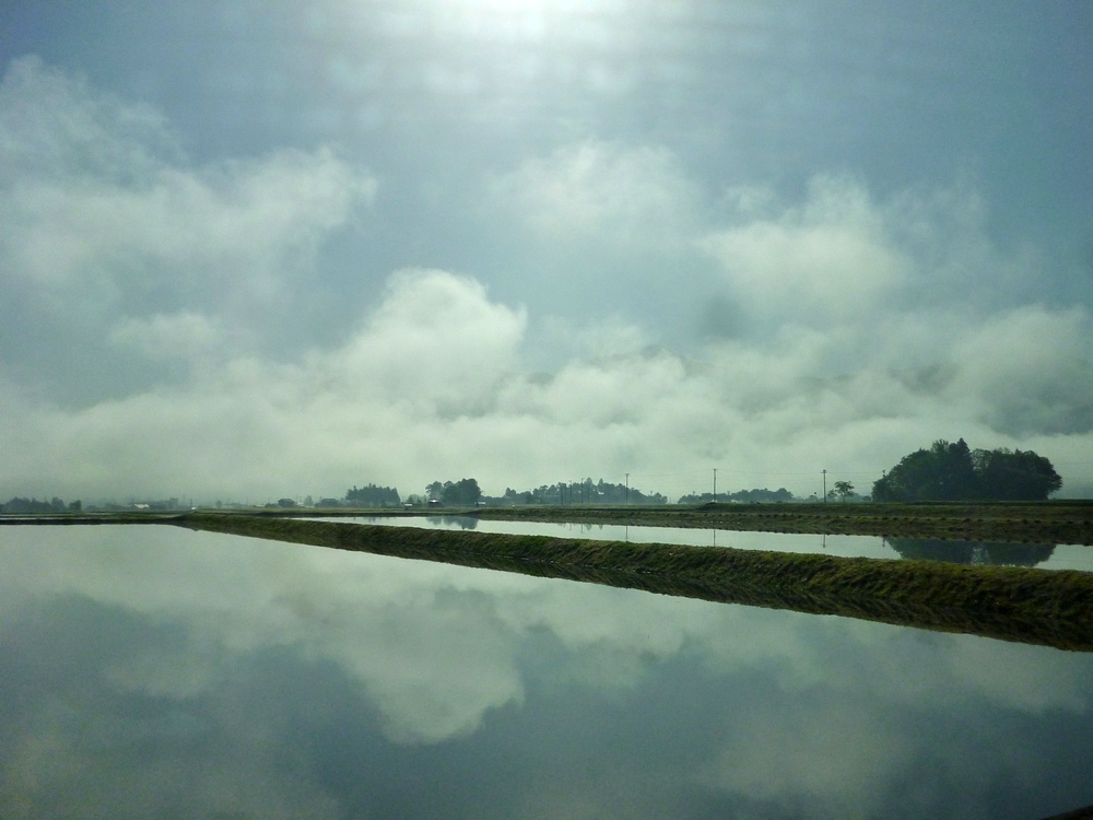 e0355083_2034321.jpg