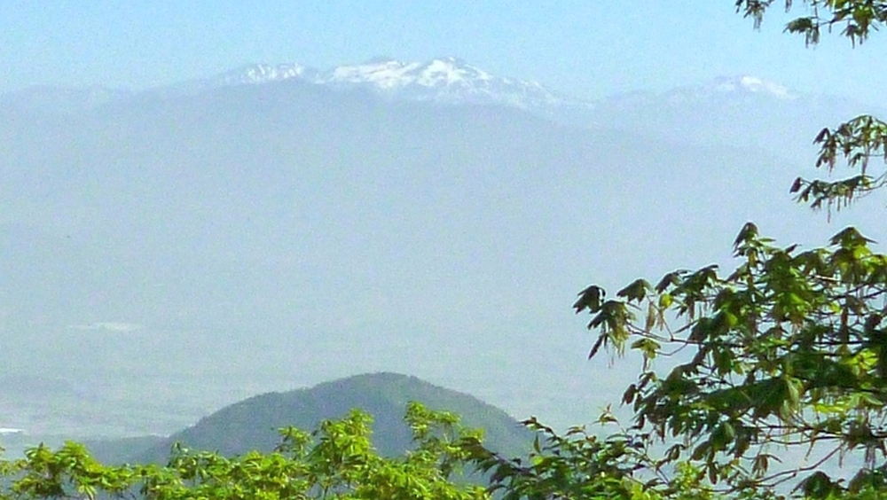 e0355083_2036494.jpg