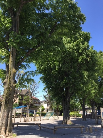 e0190984_13520198.jpeg
