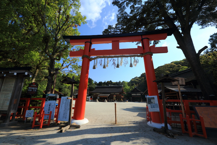 上賀茂神社_e0051888_3481748.jpg