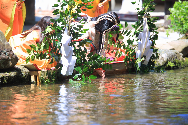 上賀茂神社_e0051888_3503497.jpg