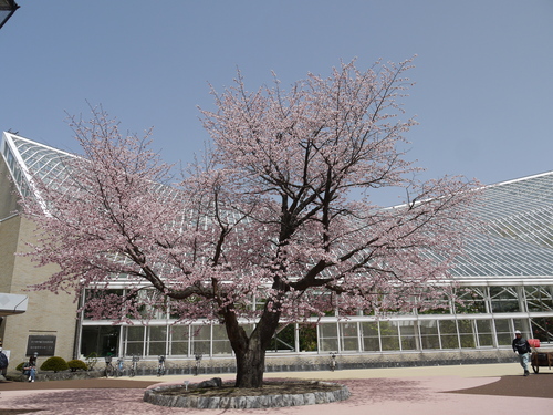 c0171889_2285635.jpg