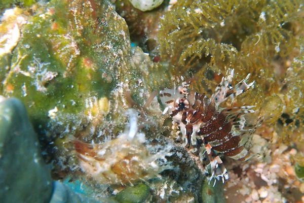 f0121701_1824075.jpg