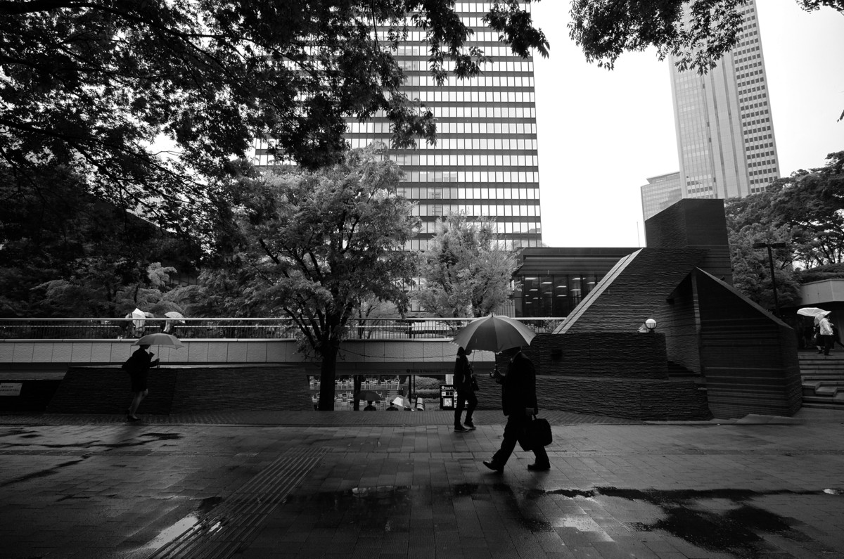 西新宿雨景　－　深緑の雨_c0156404_1551334.jpg