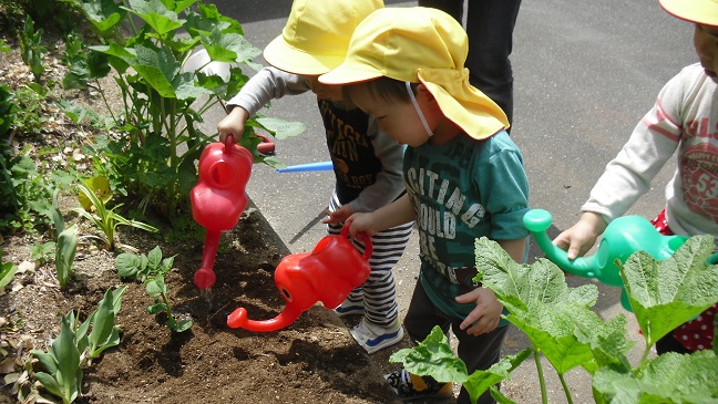 ☆苗植えをしました☆_f0162105_14335489.jpg