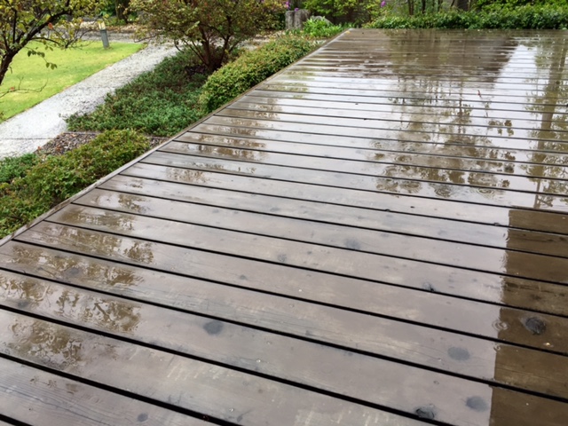 冷たい雨_a0326106_15304174.jpg