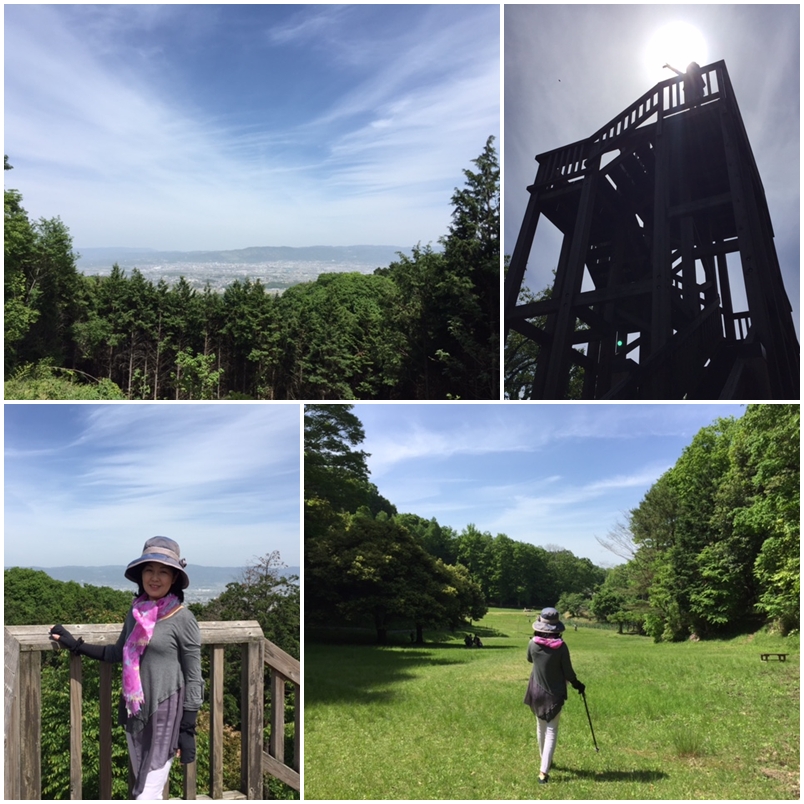 矢田山遊びの森_a0326106_15314966.jpg