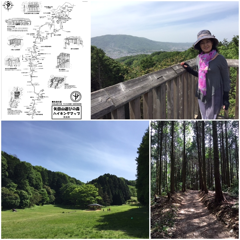 矢田山遊びの森_a0326106_1532066.jpg