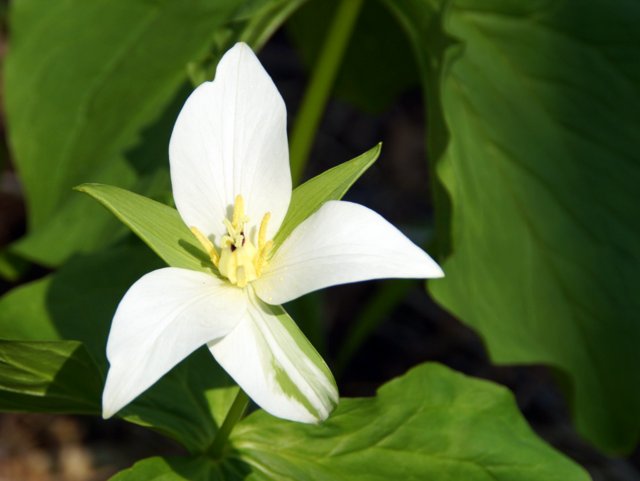 a0345007_901449.jpg