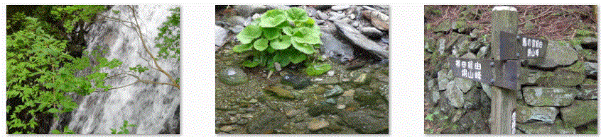 f0231709_14482278.gif