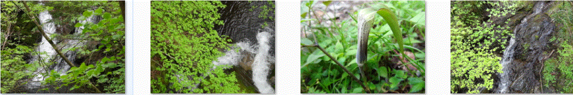 f0231709_14492832.gif