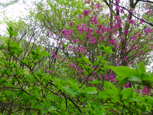 f0231709_145063.jpg