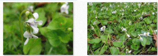 f0231709_14511728.gif