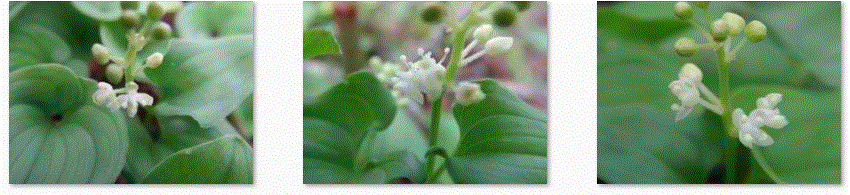 f0231709_14525517.gif