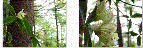 f0231709_14543528.gif