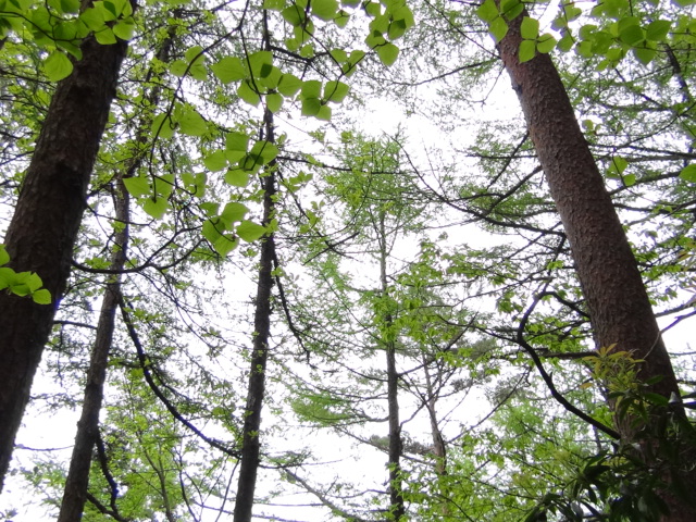 f0231709_1455397.jpg