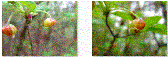 f0231709_14561490.gif