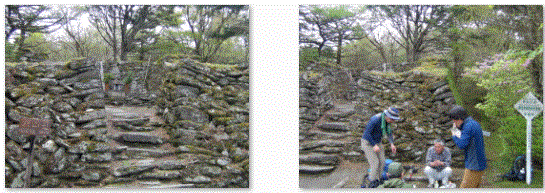 f0231709_1458167.gif