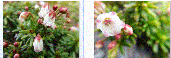 f0231709_1503847.gif