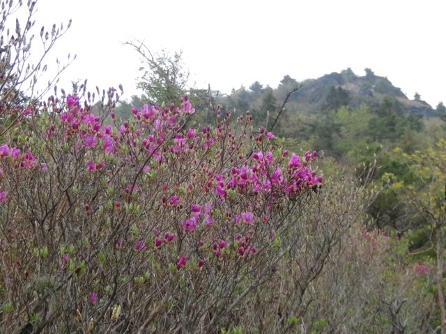 f0231709_1510058.jpg
