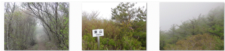 f0231709_15131195.gif