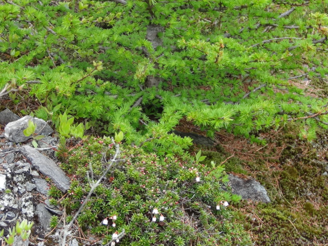 f0231709_1514892.jpg