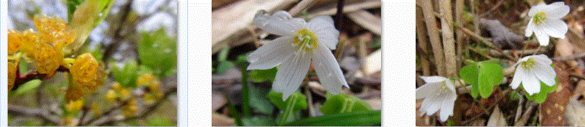 f0231709_15253869.gif