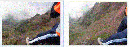 f0231709_15301749.gif