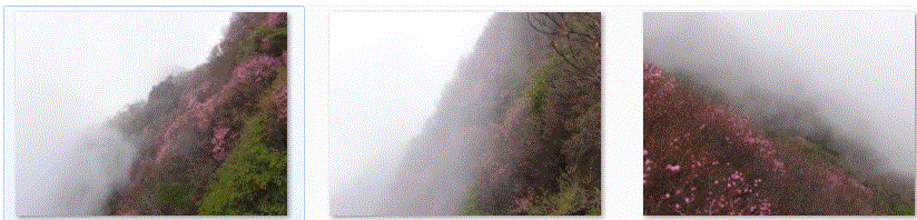 f0231709_1532339.gif