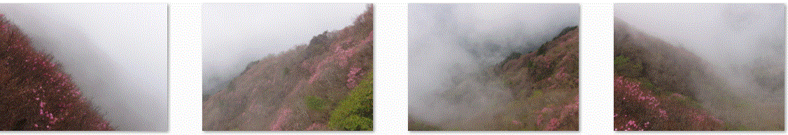 f0231709_15331867.gif