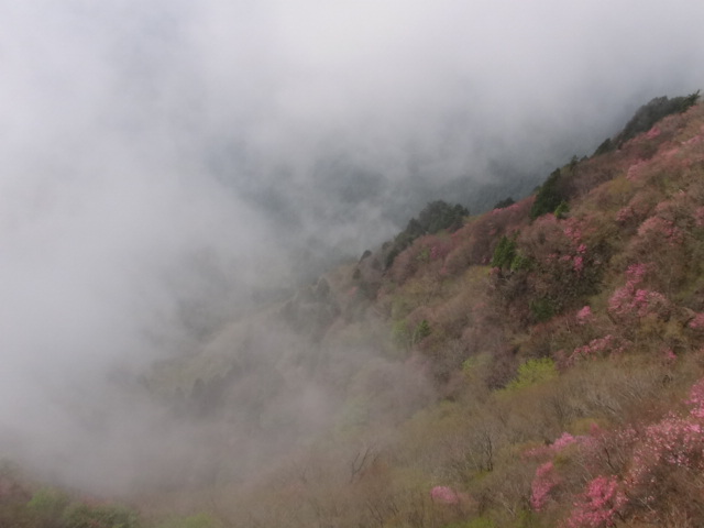 f0231709_15343897.jpg