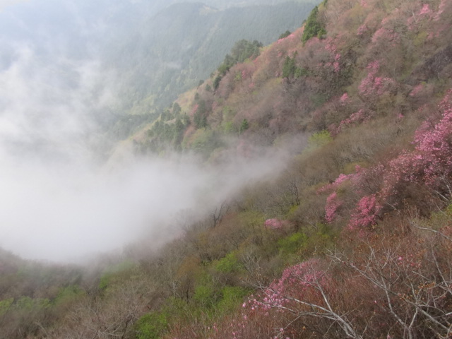 f0231709_15352460.jpg
