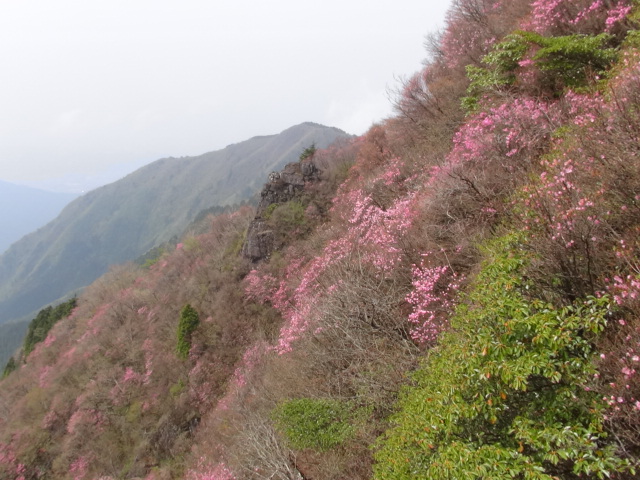 f0231709_1536979.jpg