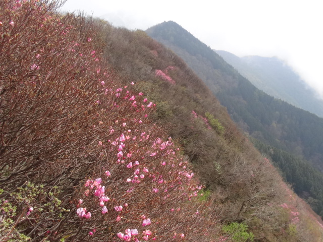 f0231709_1537821.jpg