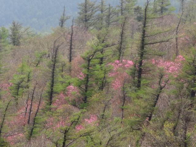 f0231709_1539531.jpg