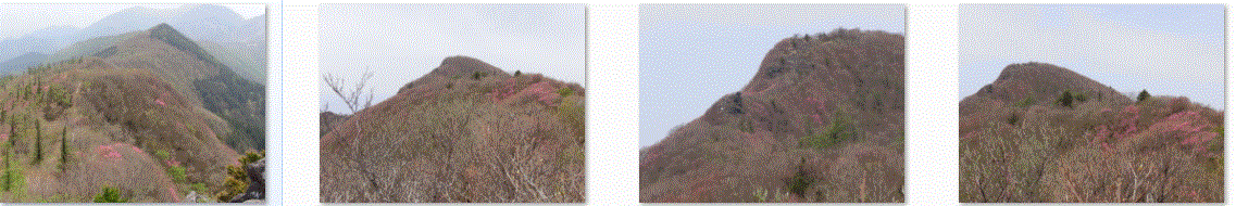 f0231709_15422940.gif