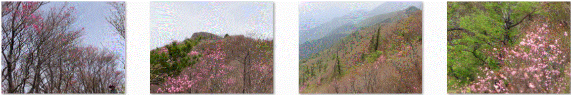 f0231709_15441246.gif