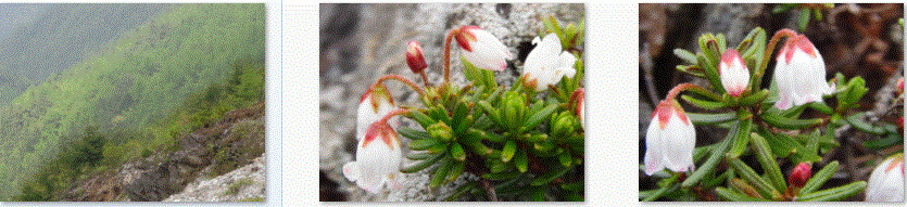 f0231709_1544245.gif