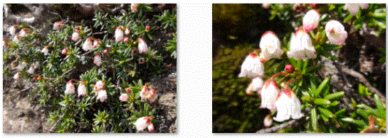 f0231709_1551372.gif