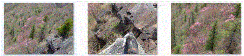 f0231709_1553778.gif