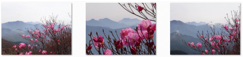 f0231709_15553125.gif