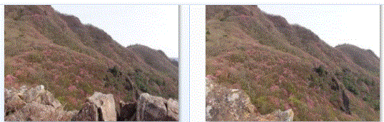 f0231709_1559349.gif