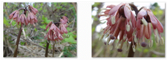 f0231709_1563760.gif